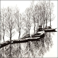 Flooding at Skutarisee, Yugoslavia, March 1971